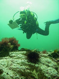 bamfield field station